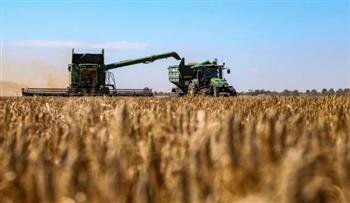 أستاذ زراعة: بدائل اتفاقية تصدير الحبوب الأوكرانية ستكون صعبة