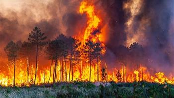 مصرع 15 شخصا وإصابة 26 جراء حرائق الغابات بالجزائر