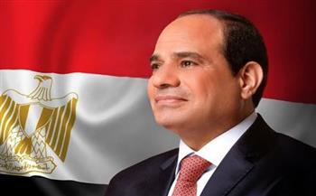 «حماة وطن»: لن نرشح أحد للانتخابات.. الرئيس السيسي أعاد لمصر مكانتها العالمية