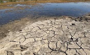 علاء النهري: ارتفاع درجات الحرارة أدى إلى جفاف الأنهار في أوروبا