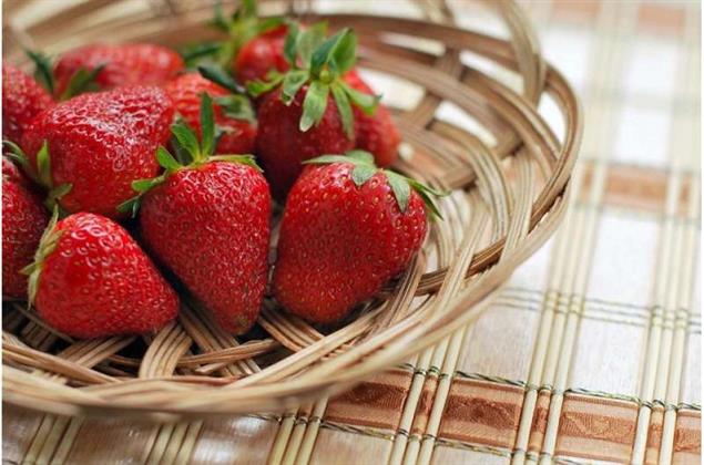 دراسة جديدة: تناول الفراولة قد يحسن الوظيفة الإدراكية لدى كبار السن