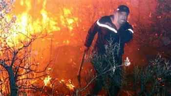 الأمين العام لمجلس التعاون الخليجي يعزي الجزائر في ضحايا حرائق الغابات 