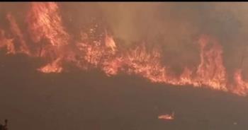 تونس.. 7 حرائق تلتهم الغابات والمحاصيل وإجلاء السكان 