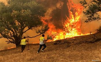 حرائق الغابات: حالة تأهب قصوى جنوب شرقي فرنسا.. وفقدان 450 هكتارا من الصنوبر بتونس
