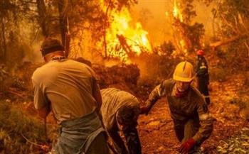 اليونان: بدء جهود البحث والإنقاذ إثر تحطم طائرة خلال مكافحة حرائق الغابات
