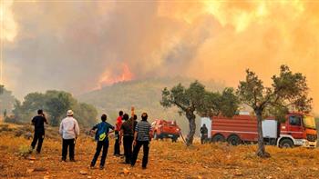 كوارث طبيعية على ضفتي المتوسط.. حرائق غابات في اليونان والجزائر وارتفاع قياسي للحرارة