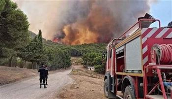تونس: تلف 100 هكتار من مساحة الغابات بحرائق الأمس