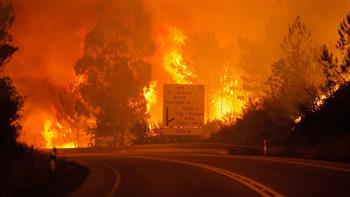 إصابة 10 أشخاص على الأقل جراء حرائق الغابات في البرتغال