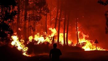 الجزائر: إخماد جميع الحرائق المندلعة في عدة مدن باستثناء حريق واحد