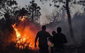 إيران تعرب عن تعاطفها مع الجزائر في ضحايا حرائق الغابات