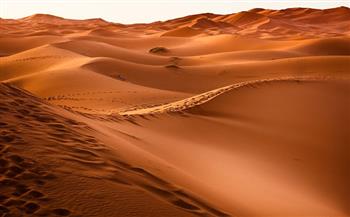 فتح طريق «الحسنة المنبطح» في وسط سيناء بعد إزالة تراكمات الرمال المتحركة