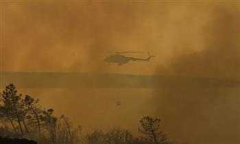روسيا تكافح حرائق الغابات في مقاطعة تركيا