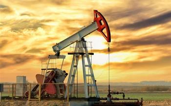 خبير اقتصاد: «أوبك» بدأت تتخذ قرارات لخفض طوعي في أسعار النفط
