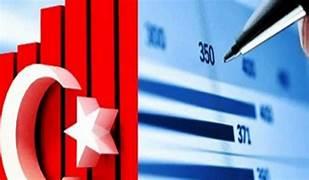 انخفاض التضخم السنوي في تركيا للشهر الثامن على التوالي 