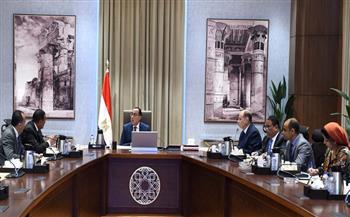 رئيس الوزراء يتابع مع محافظ أسيوط موقف تنفيذ المشروعات بالمحافظة