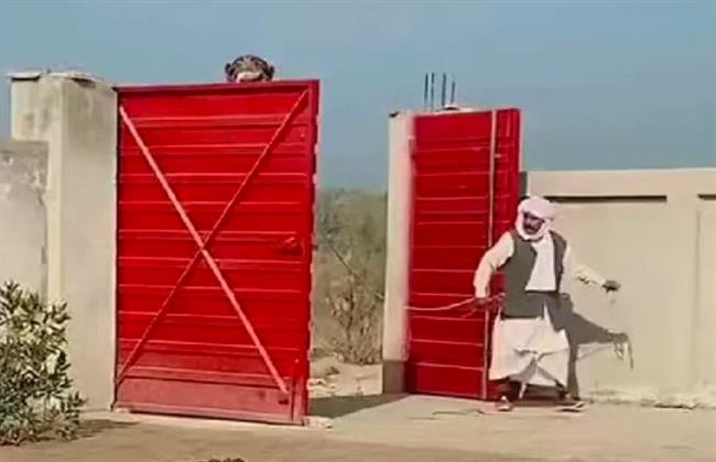 بالفيديو.. جمل باكستاني ضخم يبهر مستخدمي مواقع التواصل الاجتماعي