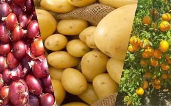 منها الموالح والبطاطس.. المنتجات الزراعية تترك أثرا في 80 سوق جديد