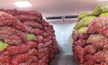 «الزراعة»: فحص 992 ألف طن بطاطس للتصدير منذ بداية العام 