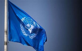 الأمم المتحدة تدعو إلى وقف هجمات المسيرات الأوكرانية على موسكو