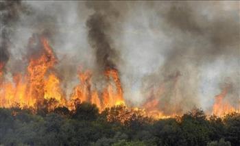 الرئيس الأمريكي يعزي سكان "هاواي" في ضحايا حريق الغابات