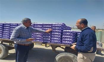 سكرتير عام محافظة بني سويف: نسعى لدعم القطاع الداجني وتوفير بيض المائدة بأسعار مناسبة