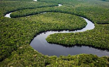 خبير بيئي: غابات الأمازون خط الدفاع الأول لمواجهة التغيرات العالمية