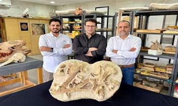 «توت عنخ آمون البحار».. تفاصيل اكتشاف حفرية حوت عمرها 41 مليون سنة