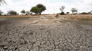 خبير دولي: ارتفاع درجة حرارة الأرض يهدد المحاصيل الزراعية وينذر بكارثة غذائية عالمية