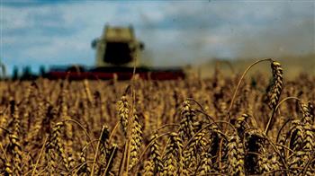 محصول الحبوب الأوكراني يرتفع 5 فى المائة عام 2023