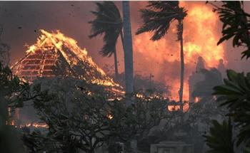  80 ضحية بسبب حرائق هاواي في أمريكا