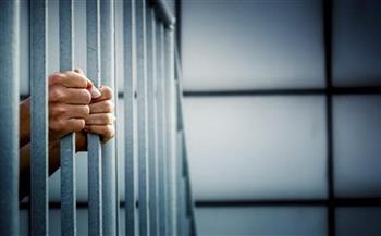السجن المشدد 15 سنة على شقيقين لقتلهما ميكانيكي بكفر الشيخ