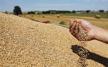 بزيادة 15% .. روسيا تزعج دول العالم بعد انسحابها من صفقة الحبوب