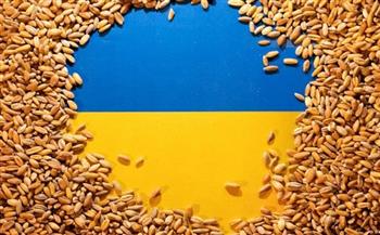 3.12 مليون طن صادرات الحبوب الأوكرانية في الموسم الحالي