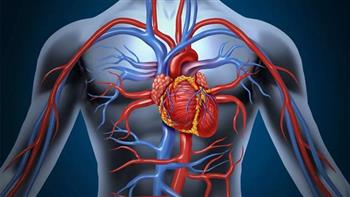 دراسة تحذر.. ارتفاع السكر في الدم يزيد خطر الإصابة بأمراض القلب  