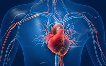 كيفية تركيب دعامة القلب؟ هيئة الدواء تجيب 
