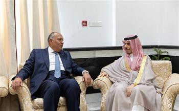عاجل.. وزير الخارجية ونظيره السعودي يبحثان التطورات على الساحتين الإقليمية والدولية