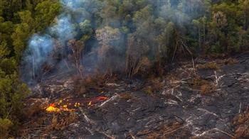 ارتفاع حصيلة ضحايا حرائق الغابات بولاية هاواي إلى 106 أشخاص