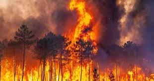 إخلاء 4 قرى في إسبانيا إثر نشوب حريق غابات بجزر الكناري