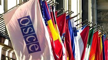 منظمة الأمن والتعاون الأوروبي تدين انتهاكات حرية الرأي في صرب البوسنة