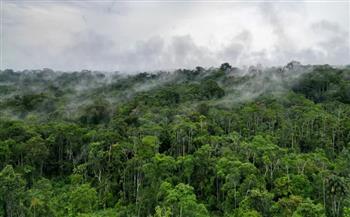 الإكوادور تصوت على مصير التنقيب عن النفط بمنطقة الأمازون