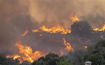 إخلاء 8 قرى في اليونان بعد اندلاع حرائق غابات جديدة شمال شرقي البلاد