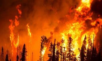 حرائق الغابات تجبر السلطات الكندية على إخلاء مدينة كاملة من سكانها