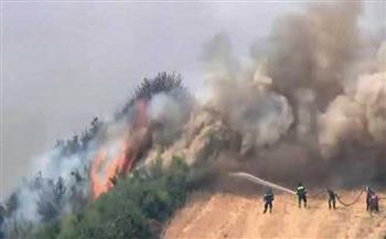 مصرع شخص جراء حرائق الغابات المستعرة في اليونان