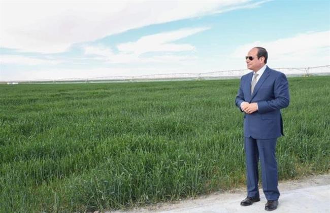 10 سنوات من الإنجازات.. طفرة بالمشروعات الزراعية في عهد الرئيس السيسي 