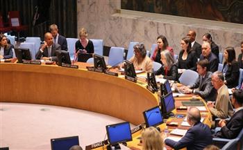 مجلس الأمن الدولي يندد بـ"الاعتداء" على عناصر حفظ السلام في قبرص 