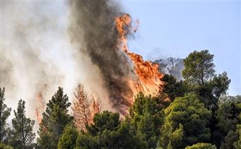 اليونان: العثور على 18 جثة جراء حرائق الغابات