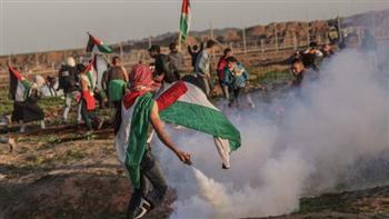 دبلوماسي جنوب إفريقي: لدينا صوتًا واضحًا بشأن ضرورة حل القضية الفلسطينية