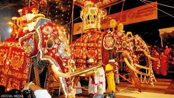 أفيال تهاجم العشرات في احتفال ديني بسريلانكا