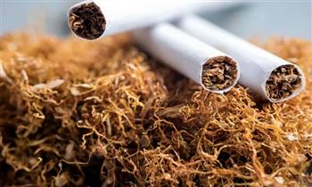 الصحة العالمية: التبغ يقتل أكثر من 8 ملايين شخص كل عام