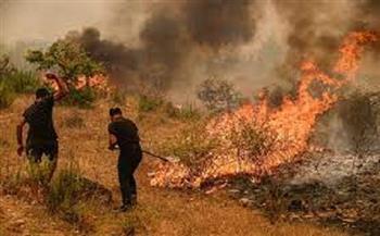 السفارة الأمريكية تصدر تحذيرًا لمواطنيها بشأن حرائق الغابات المستمرة